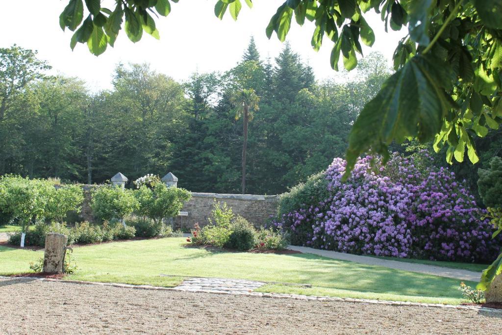 Bed and Breakfast Manoir De Kerangosquer Pont-Aven Camera foto